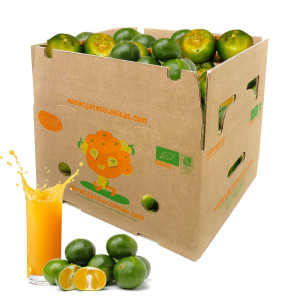 Caja 10 Kg de Mandarinas para Zumo